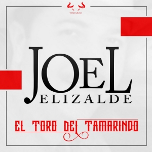 El Toro del Tamarindo