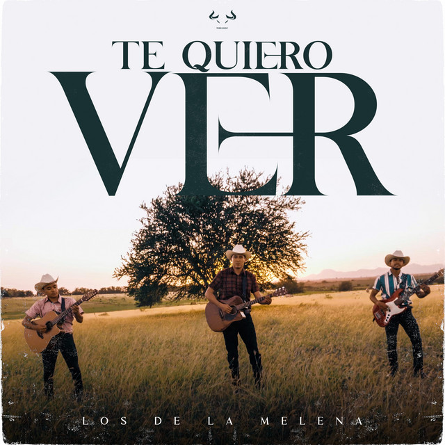 Te Quiero Ver